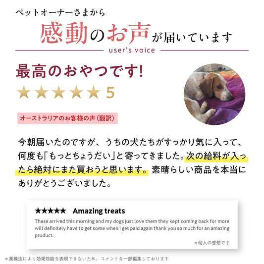 ブラックホーク フリーズドライ ビーフレバー