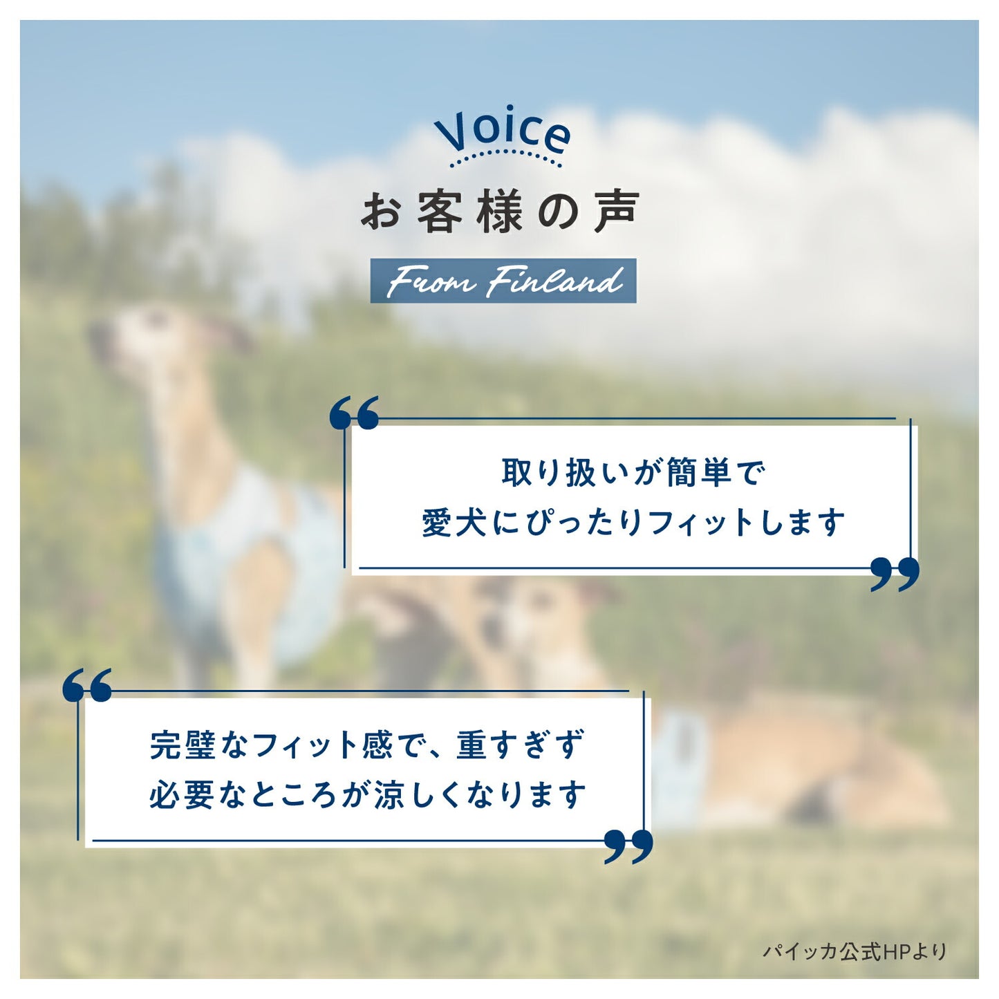 クールベスト サイズ