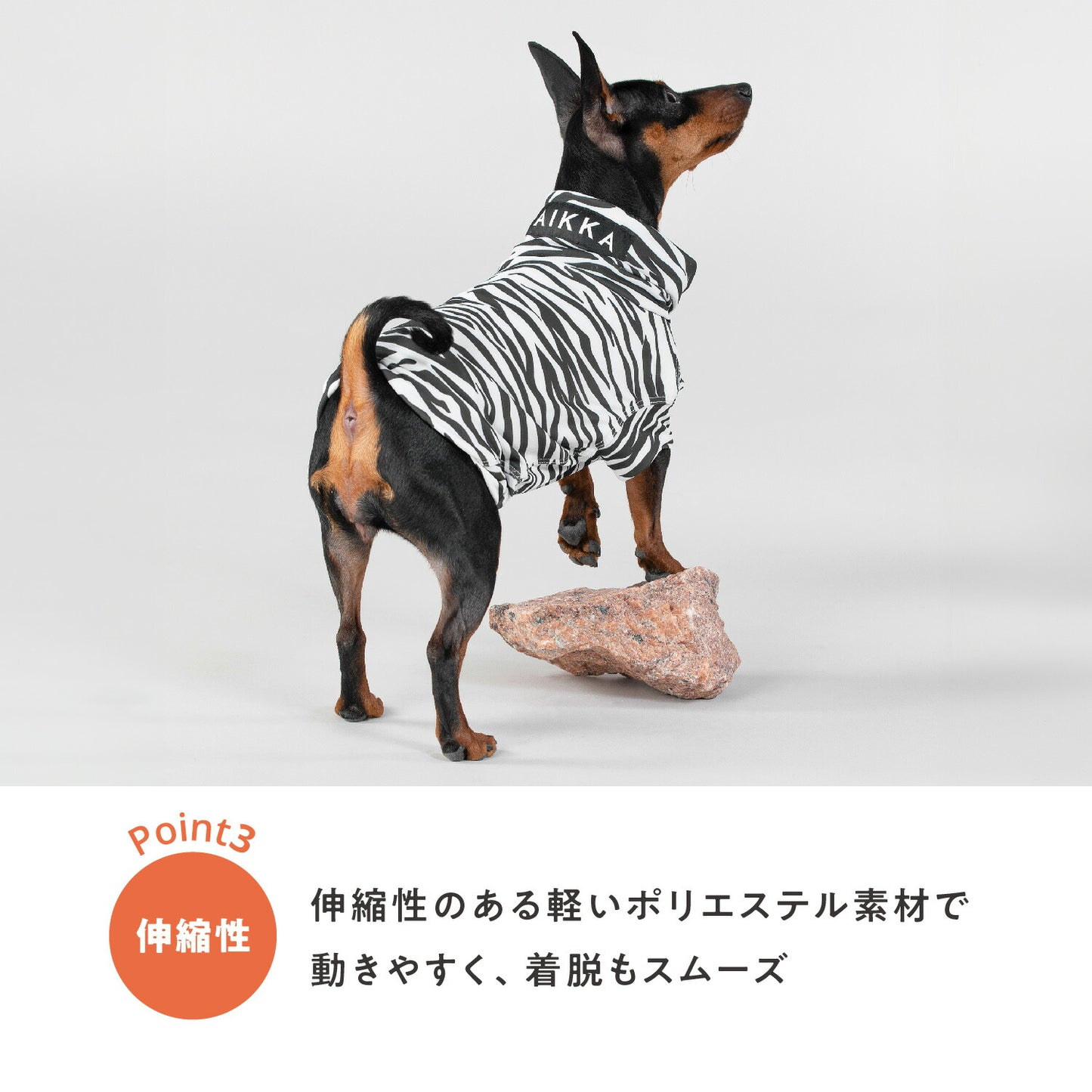 プロテクトシャツ デザイン