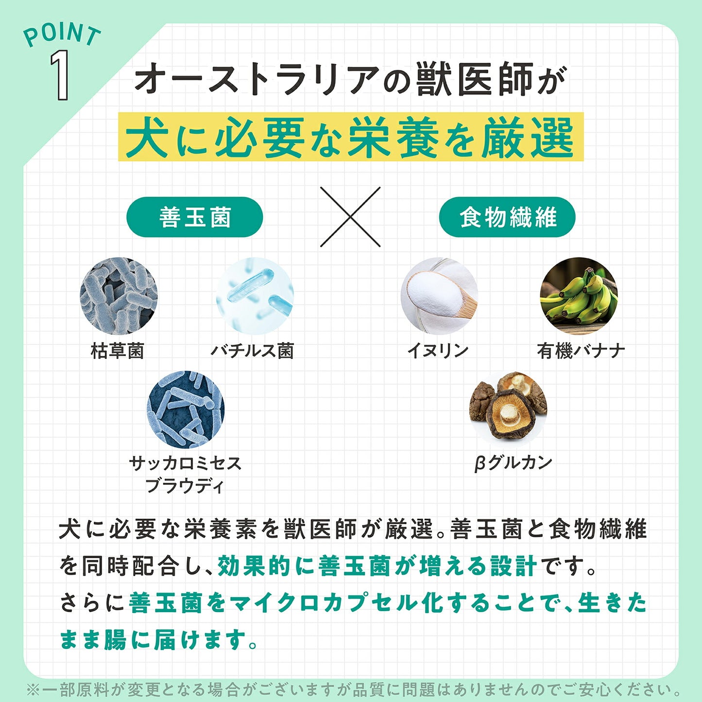 ペッツパーク 犬用 腸活サポート