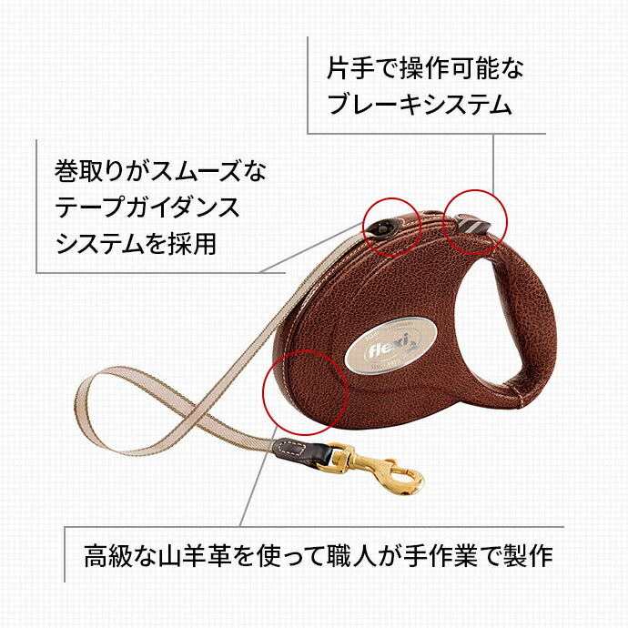 フレキシ レザー ブレーキ機構
