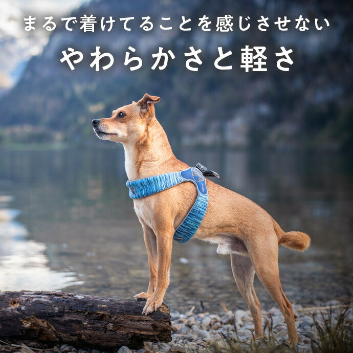 ハーネス 装着例