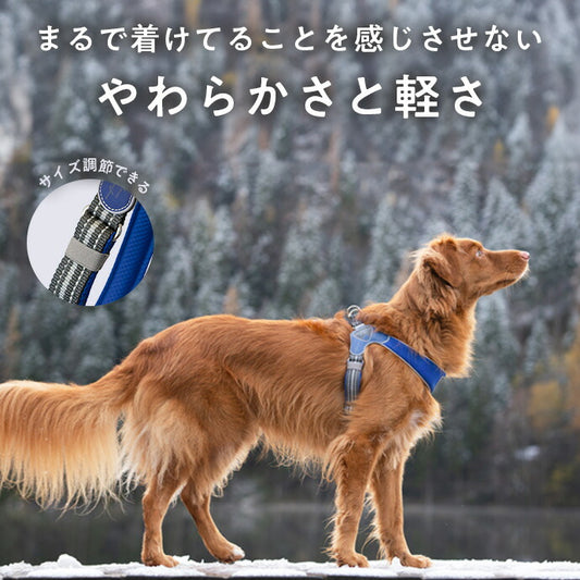 コーラルピーナ ハーネス