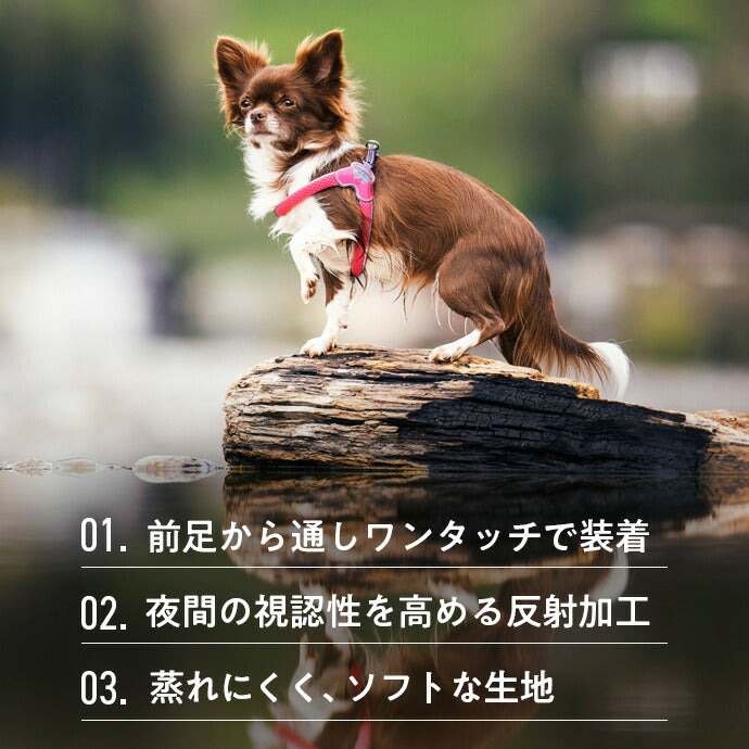 ミニ ハーネス 装着例