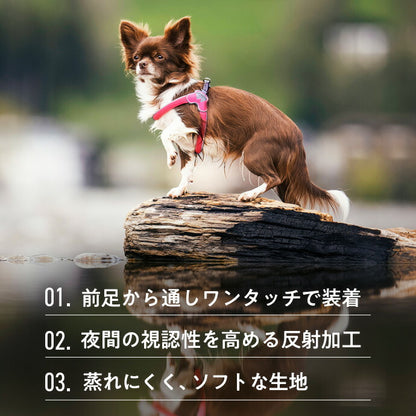 ミニ ハーネス 装着例
