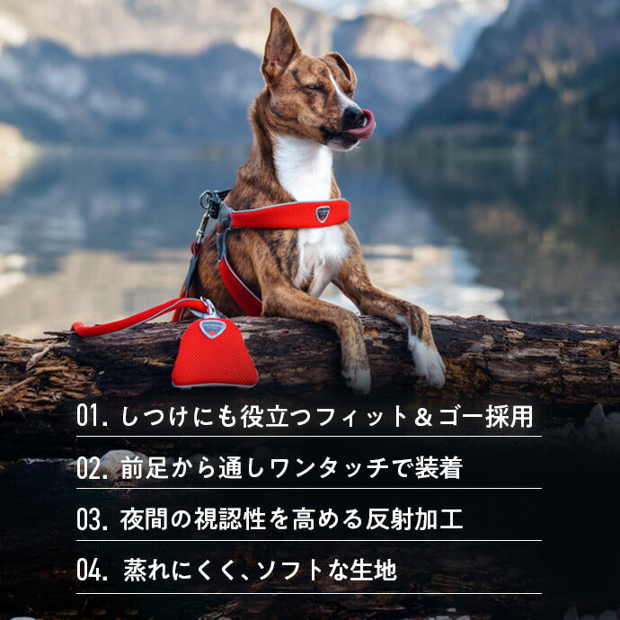 ハーネス 詳細