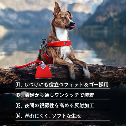 ハーネス 詳細