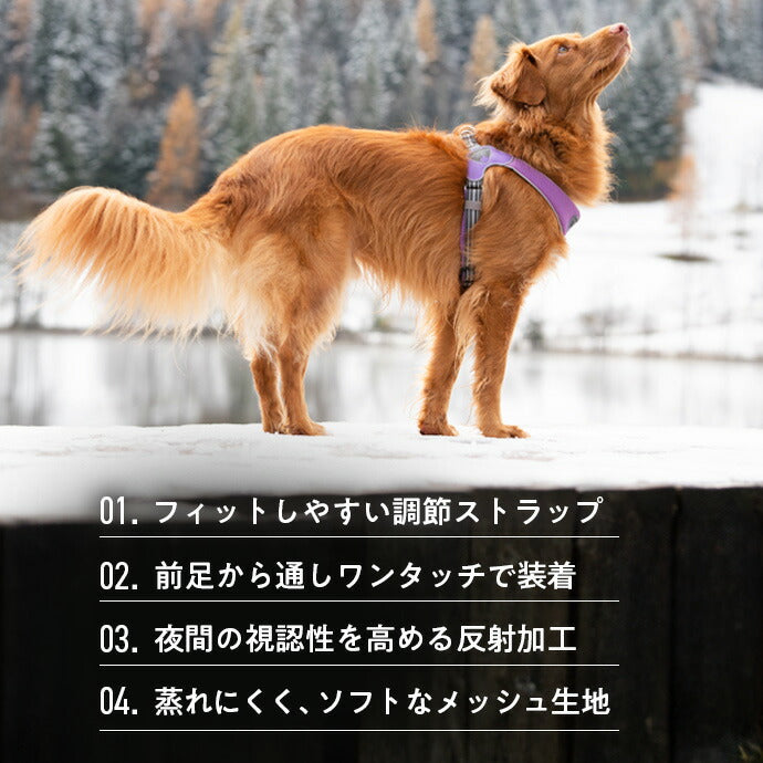 ハーネス 装着例