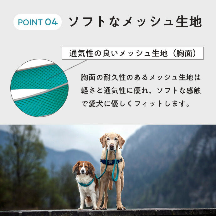 ハーネス 装着