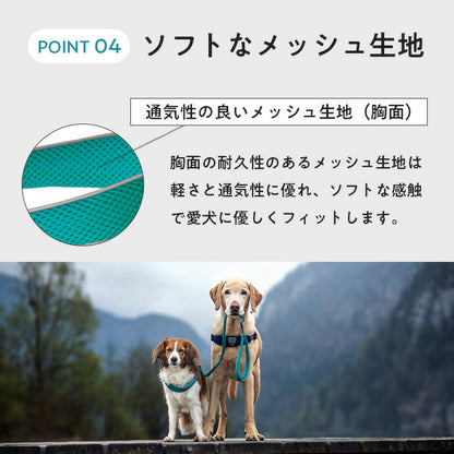 ハーネス 装着