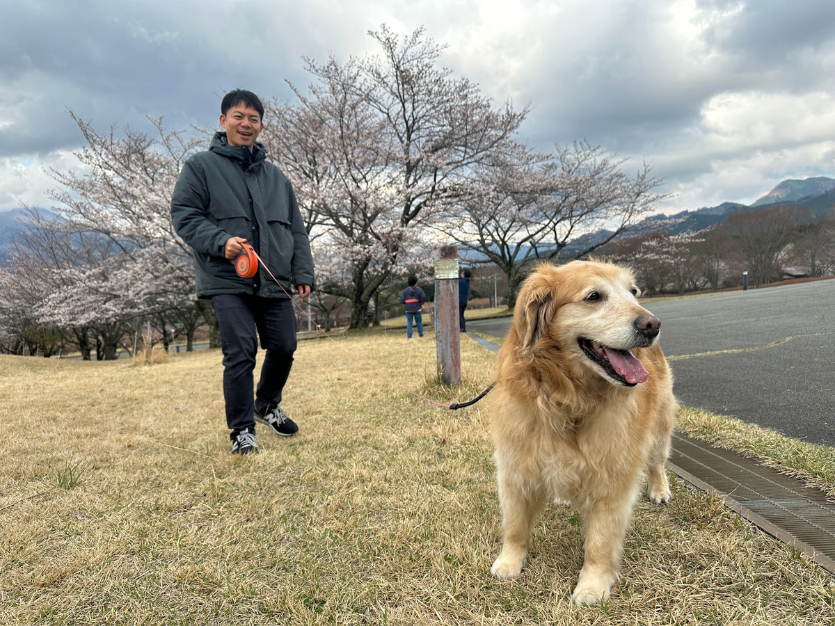 公園で飼い主と過ごす犬