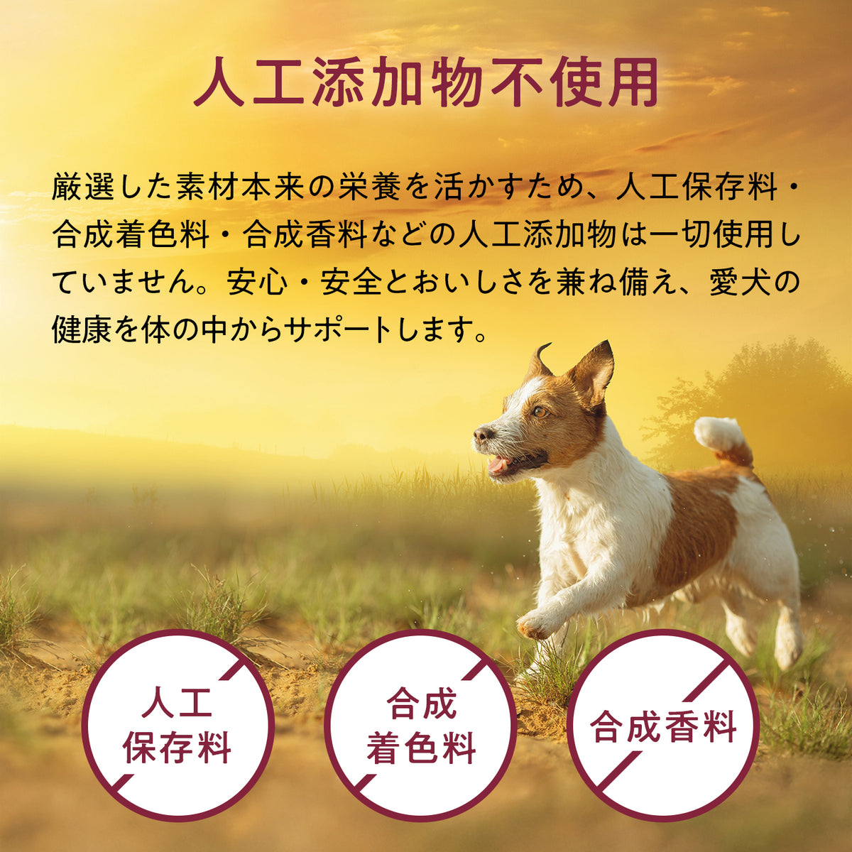 ブラックホーク エアドライ ビーフ＆サバ
