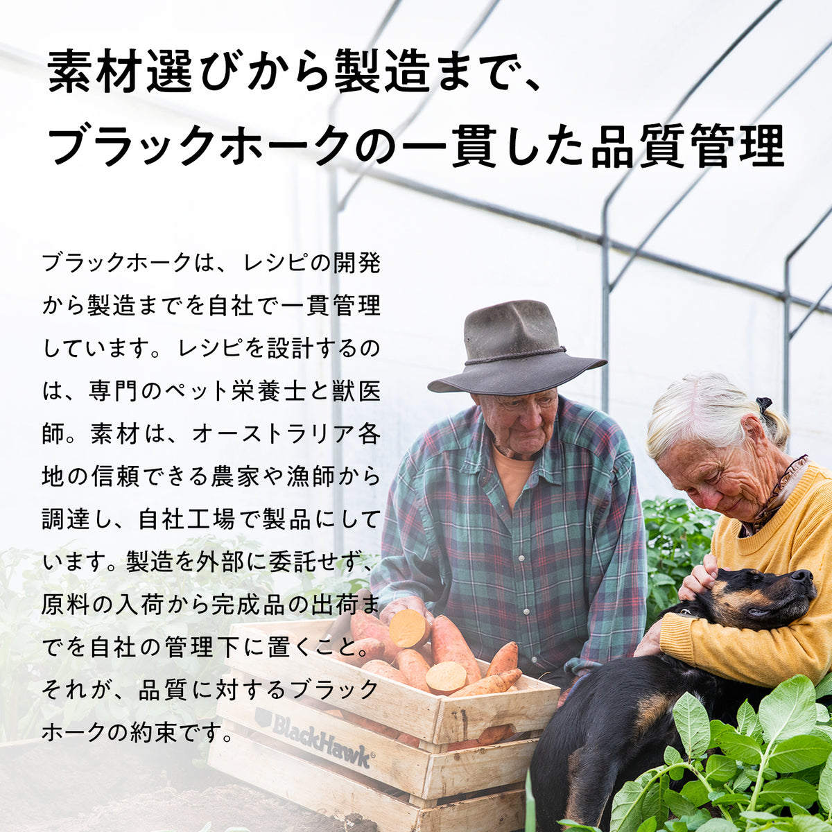 ブラックホーク エアドライ ビーフ＆サバ