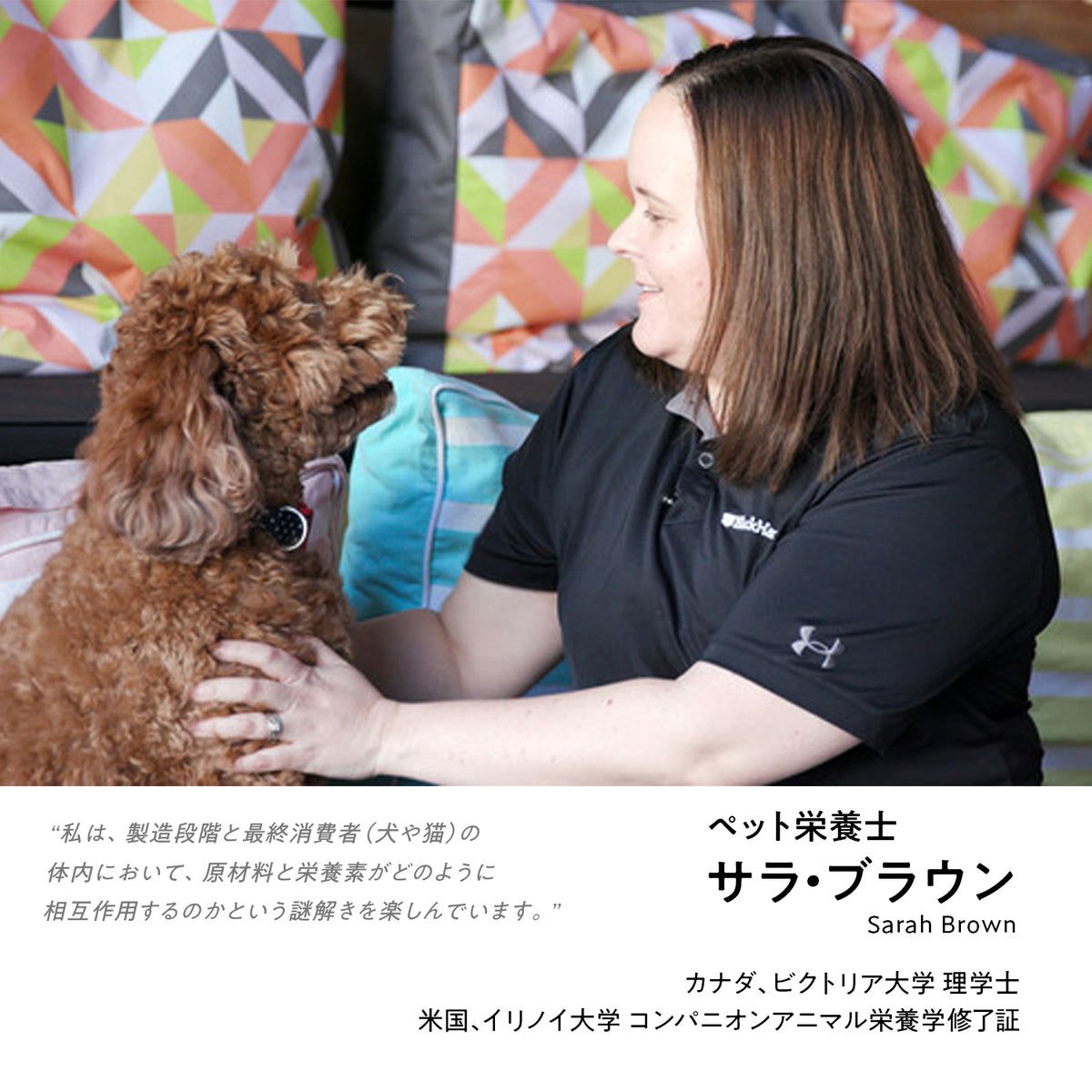ブラックホーク エアドライ ビーフ＆サバ