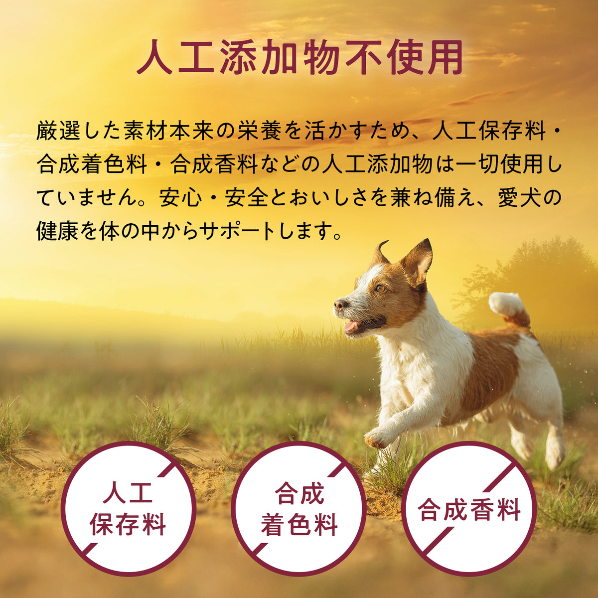 ブラックホーク エアドライ チキン