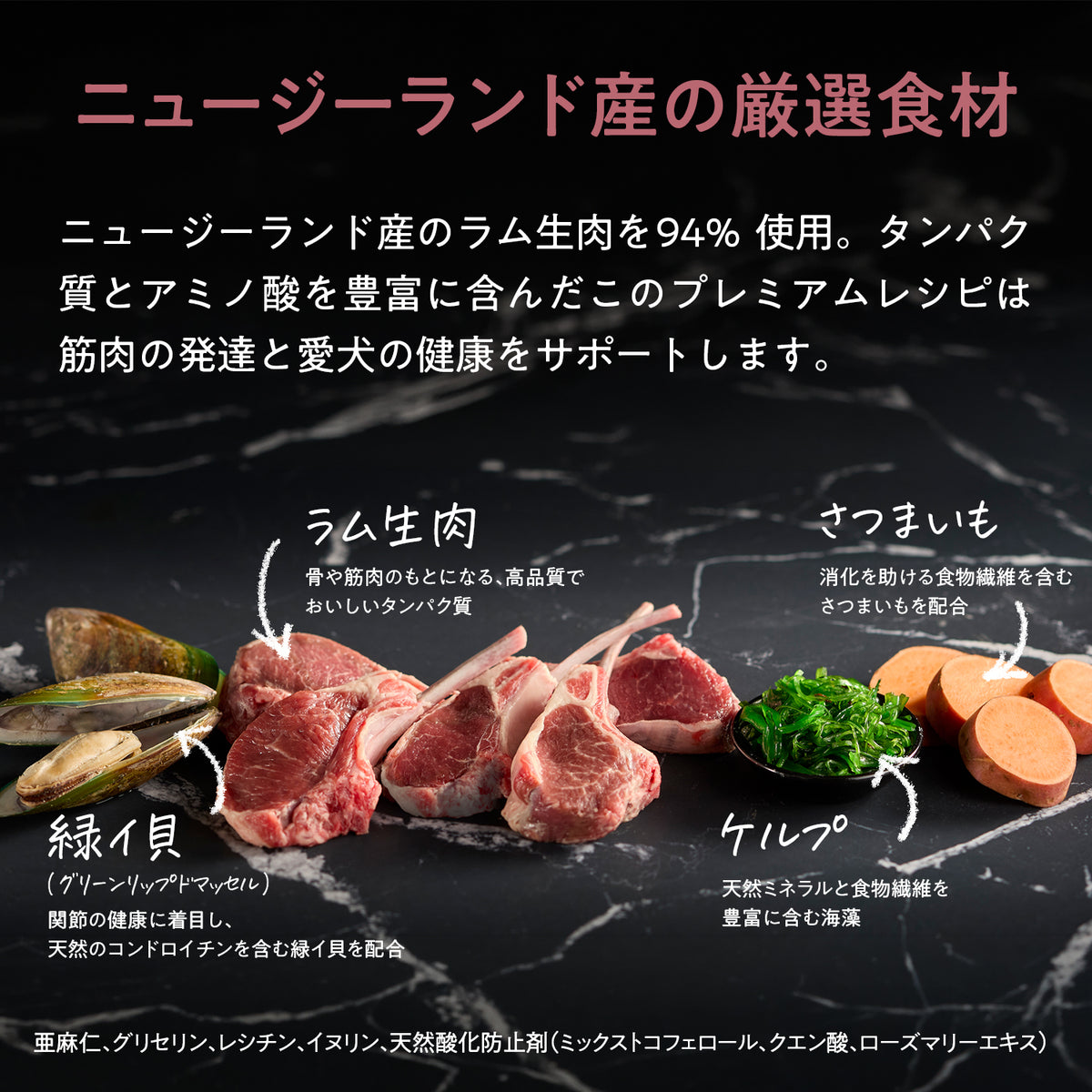 ブラックホーク エアドライ ラム
