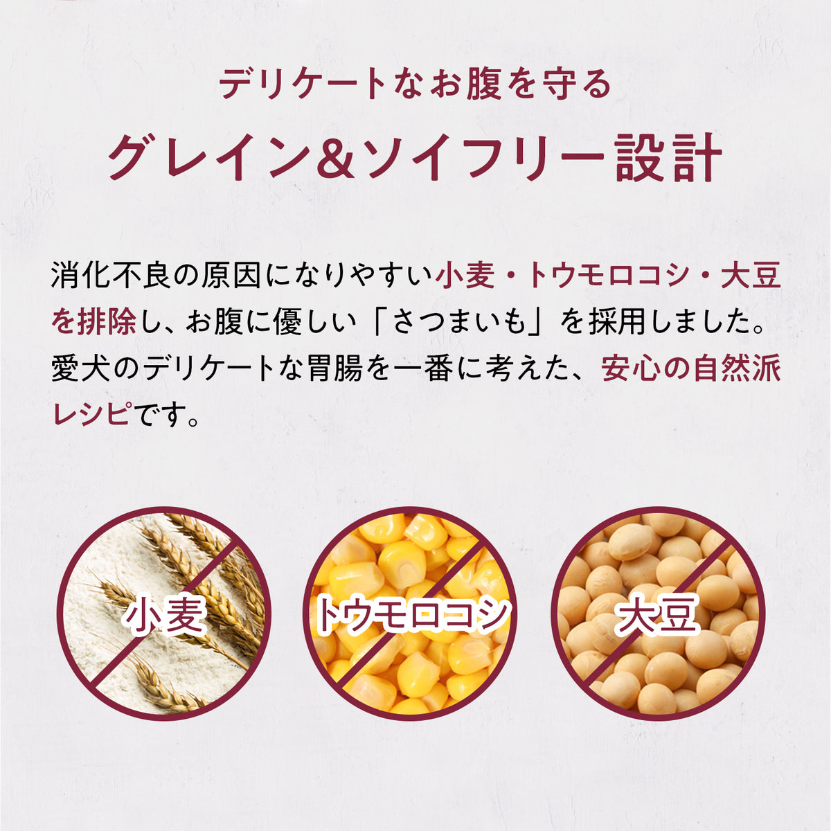 ブラックホーク エアドライ ラム