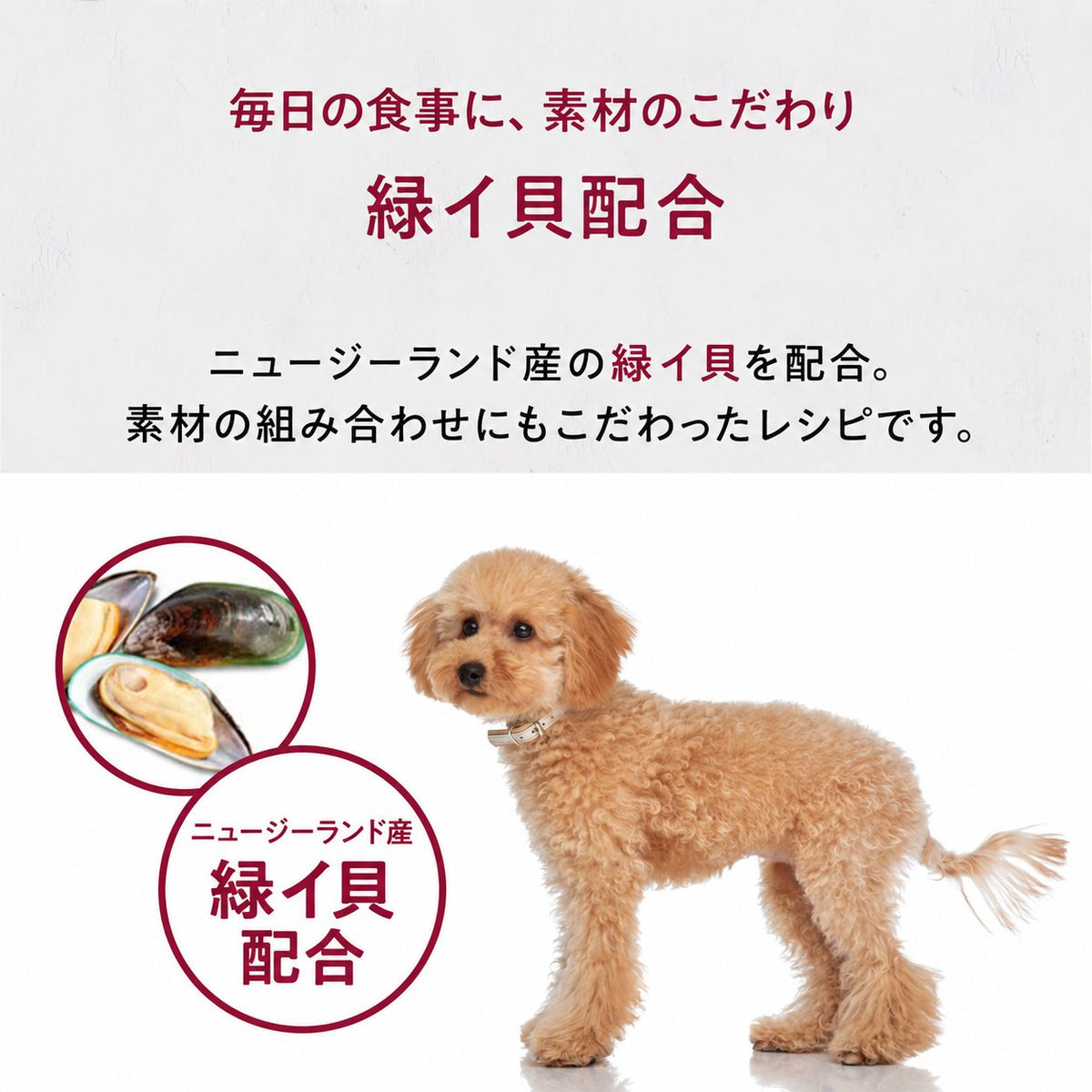 ニュージーランド産の緑イ貝を配合。素材の組み合わせにもこだわったエアドライのレシピ。