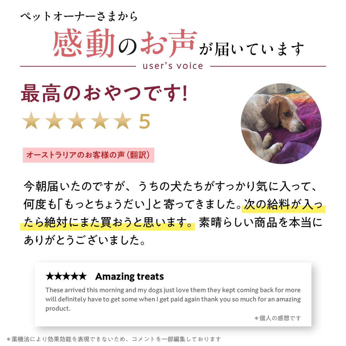 ブラックホーク フリーズドライ ビーフレバー
