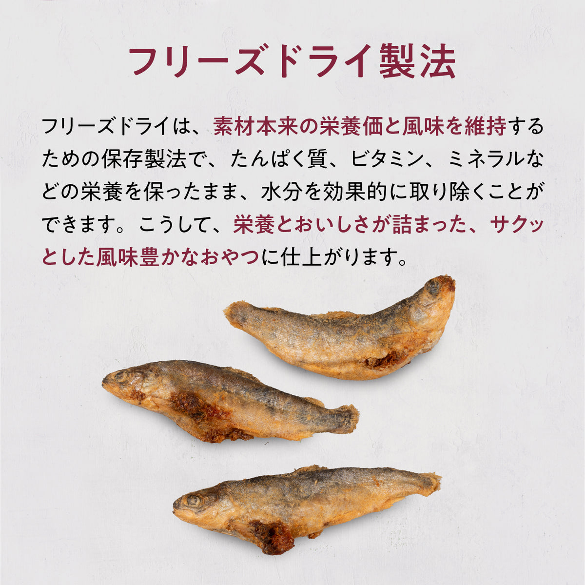ブラックホーク フリーズドライ サーモン