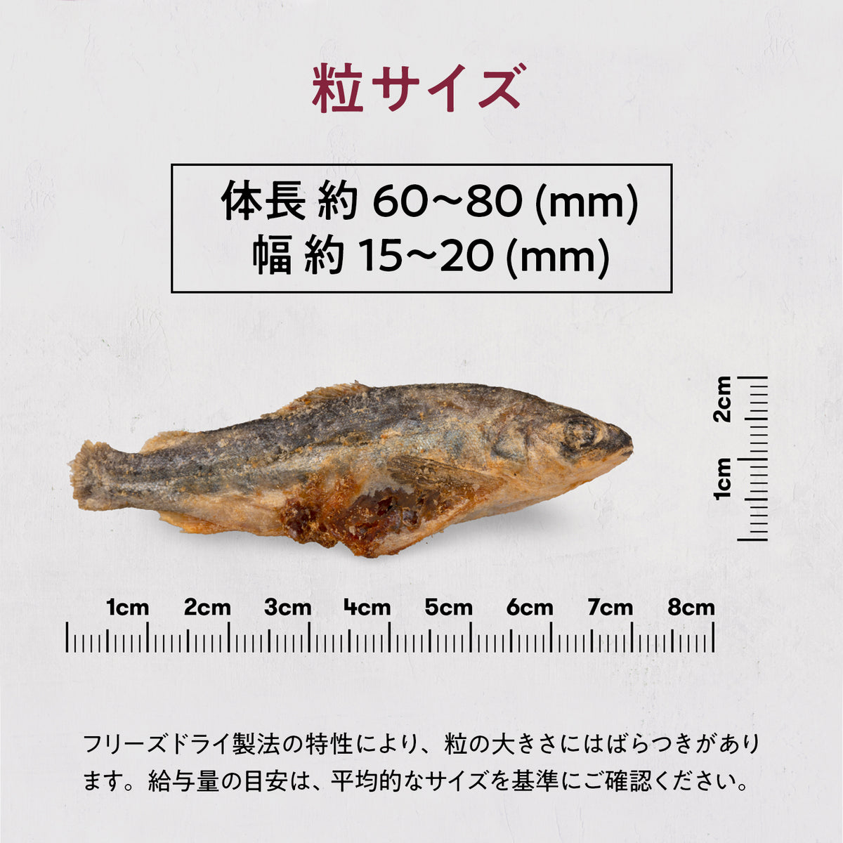 ブラックホーク フリーズドライ サーモン