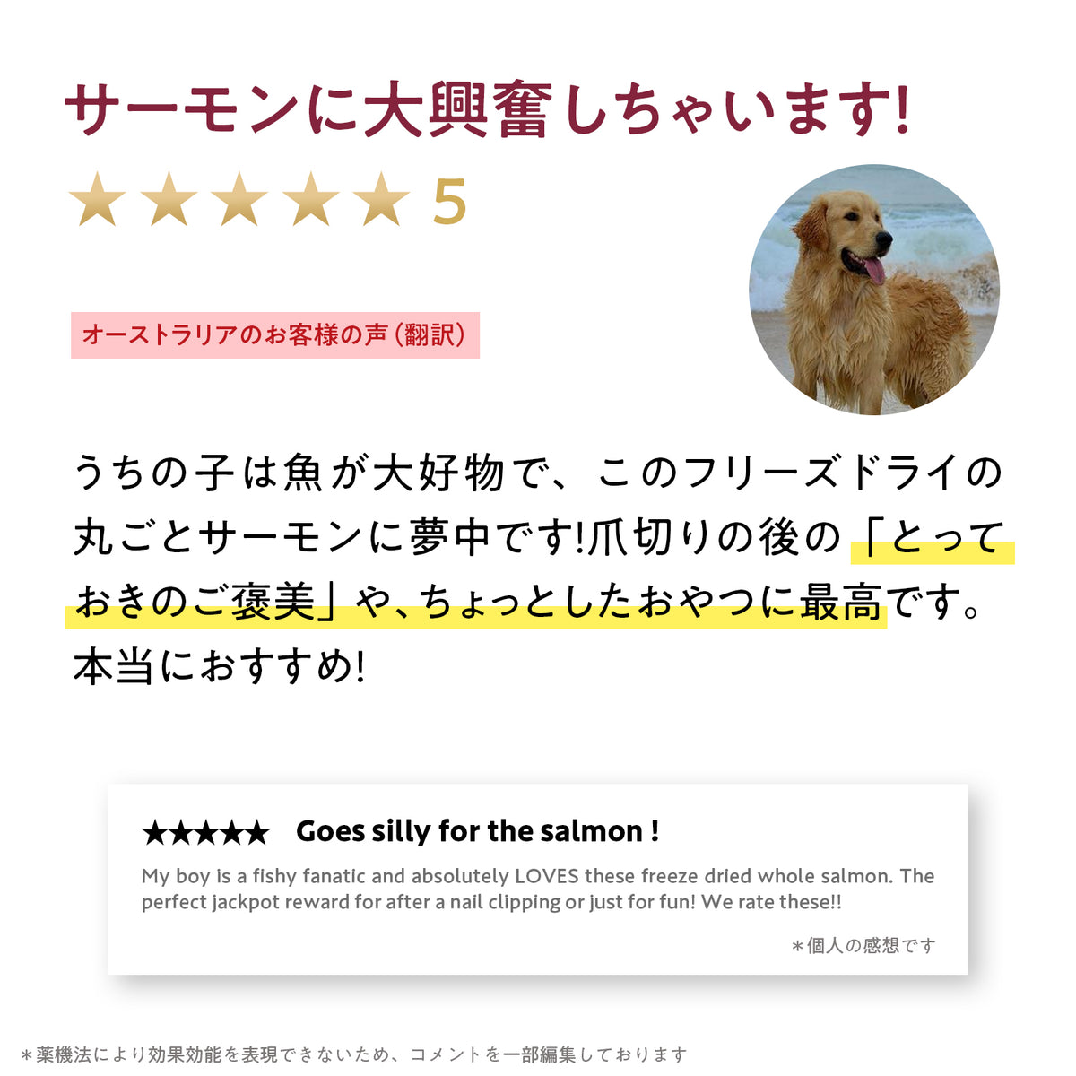 ブラックホーク フリーズドライ サーモン