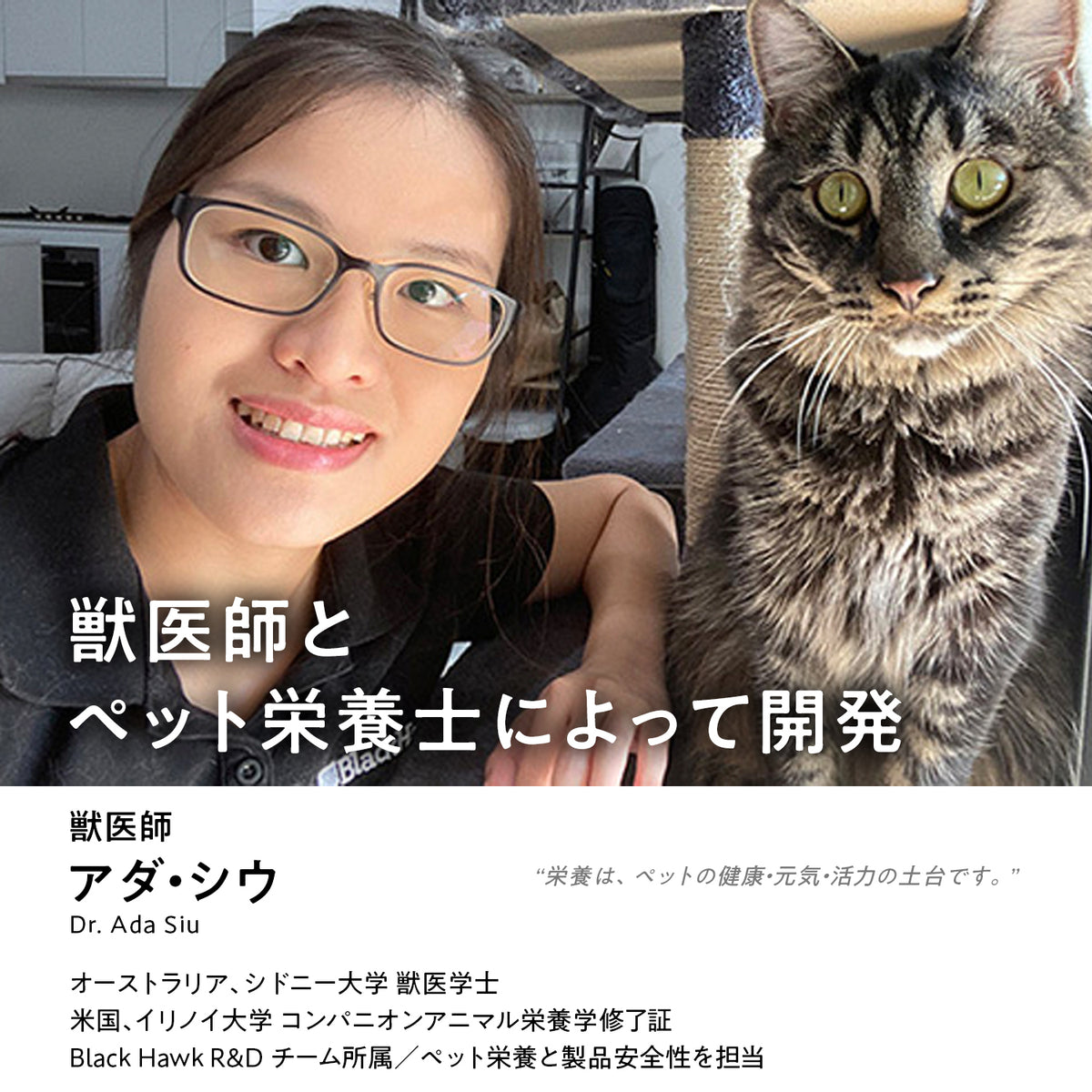 ブラックホーク ハイミート オーストラリアンレッドミート