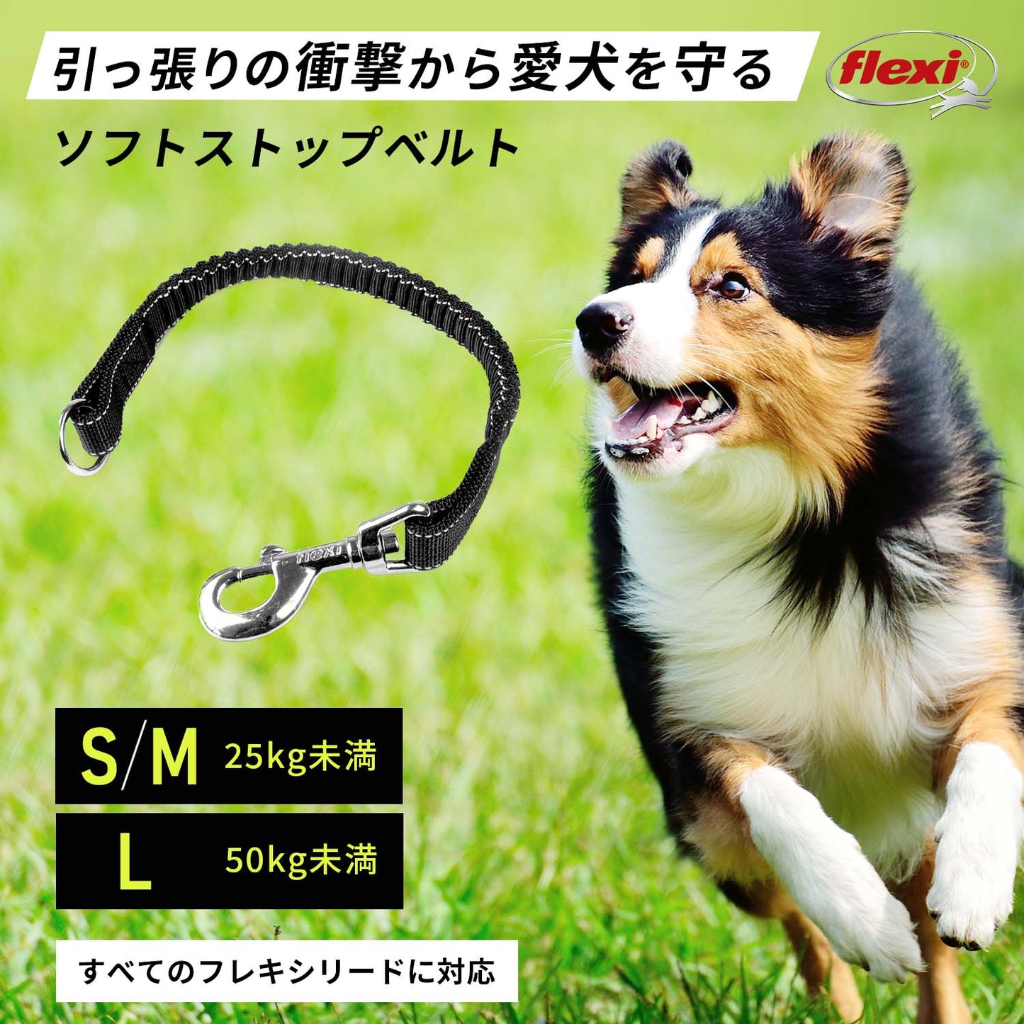 ソフトストップベルト 装着例