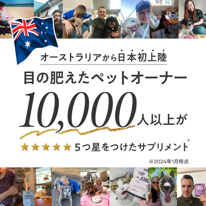 ペッツパーク 犬用 関節サポート