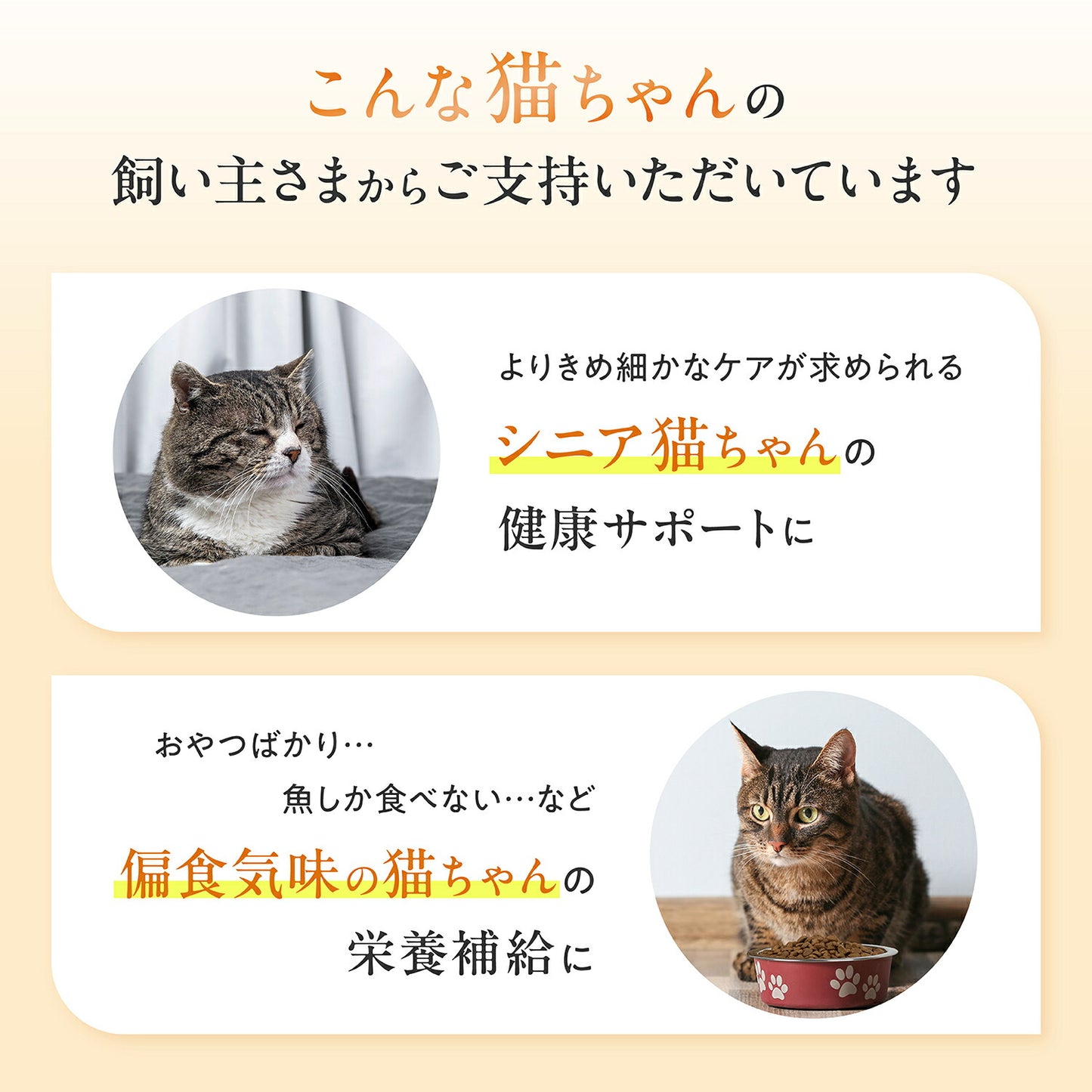 ペッツパーク 猫用 マルチビタミン