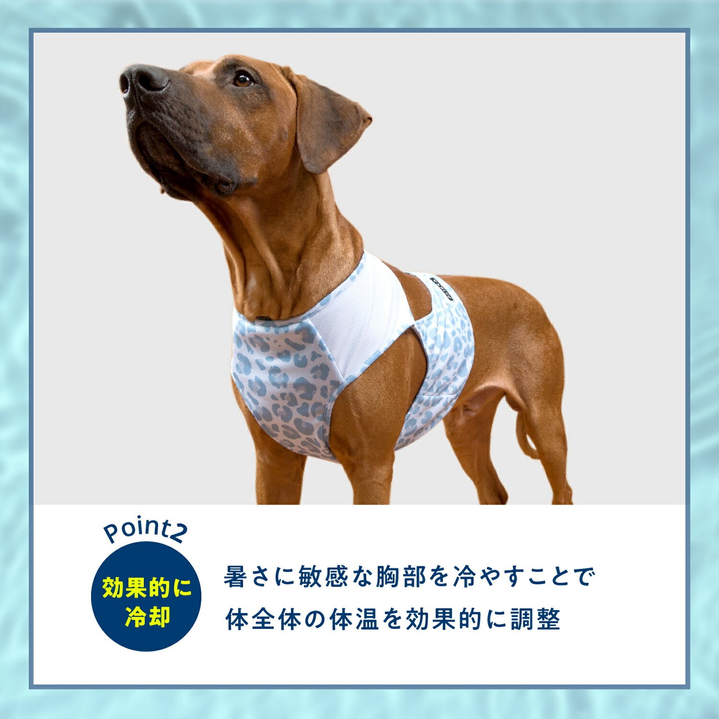 クールベスト 詳細