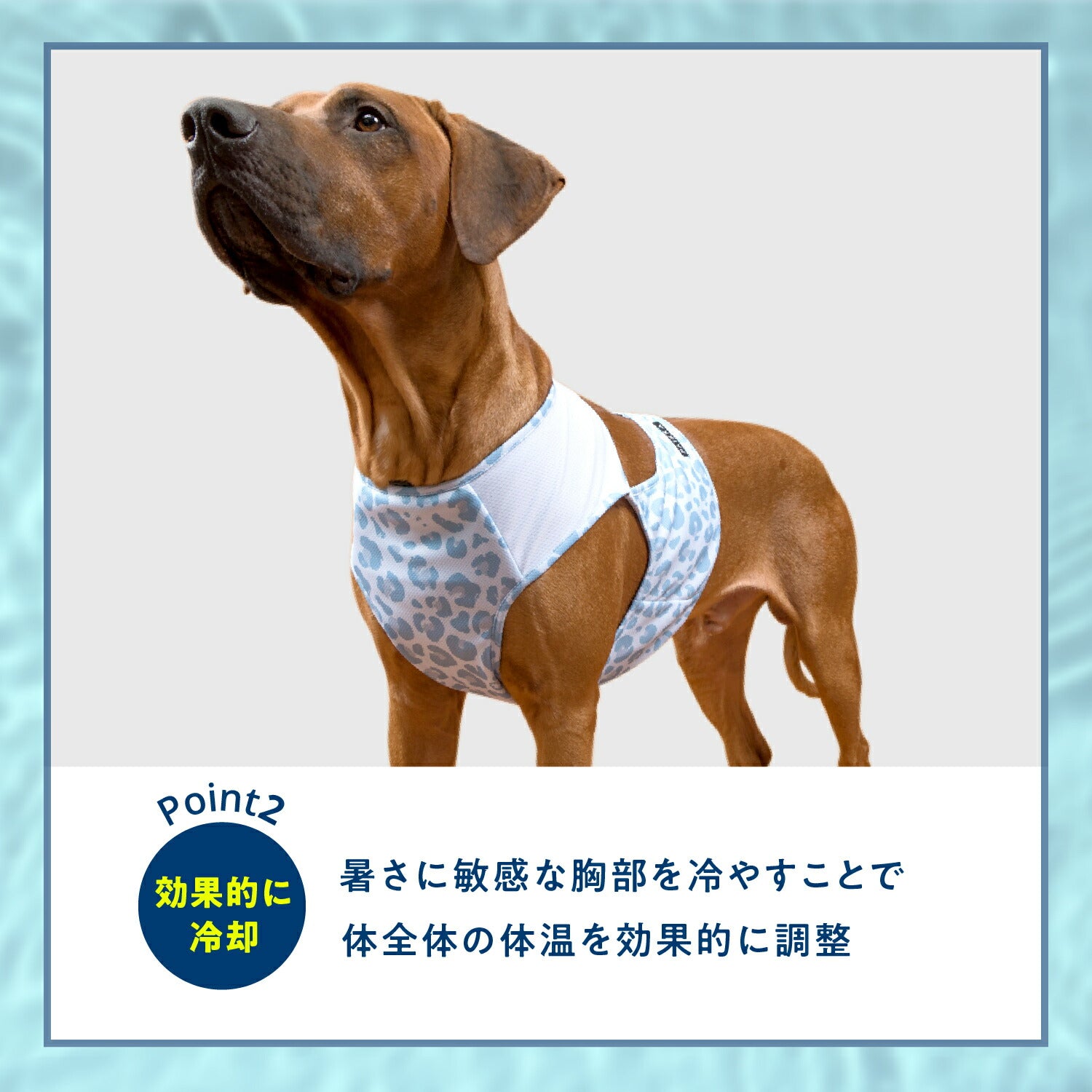 クールベスト 詳細