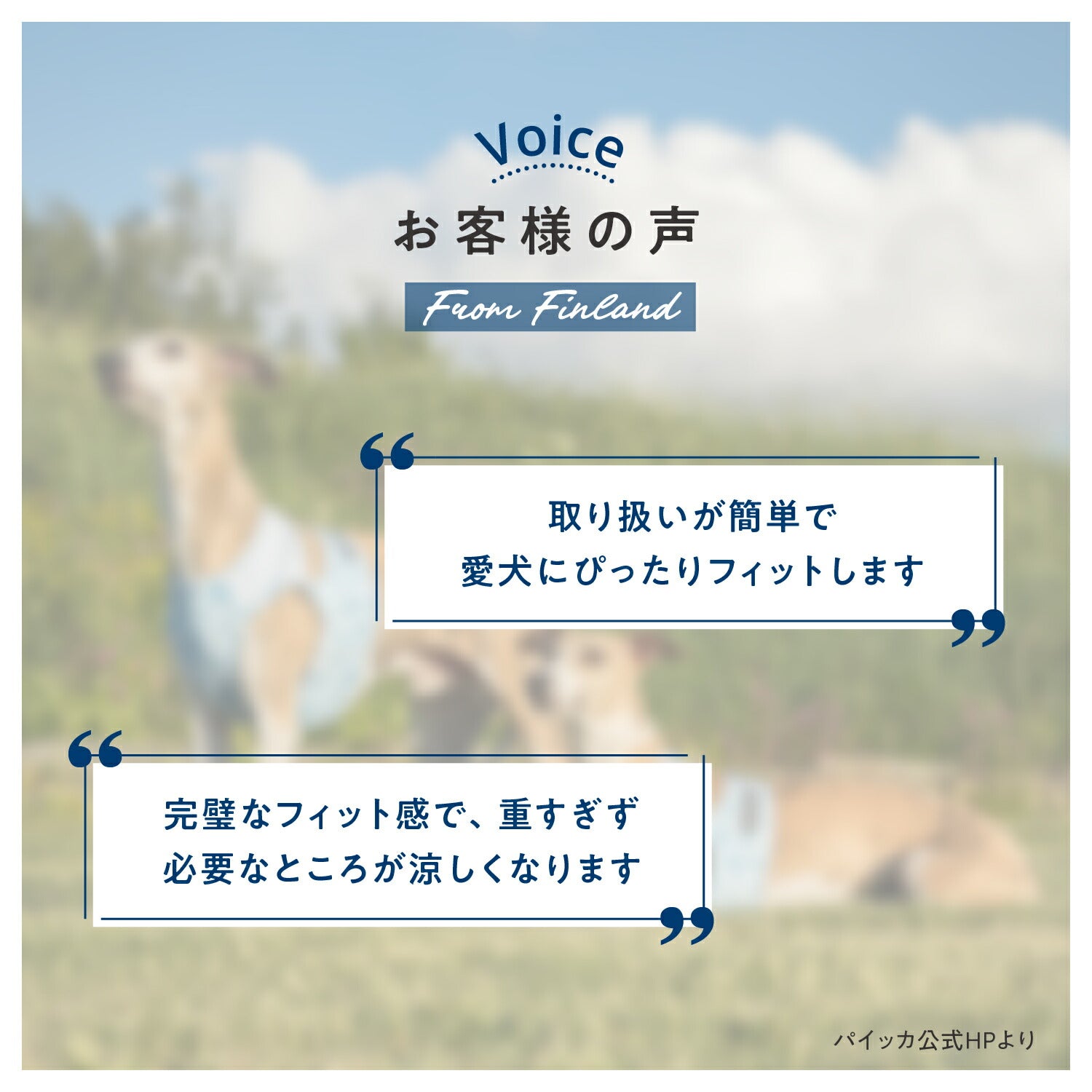 クールベスト サイズ