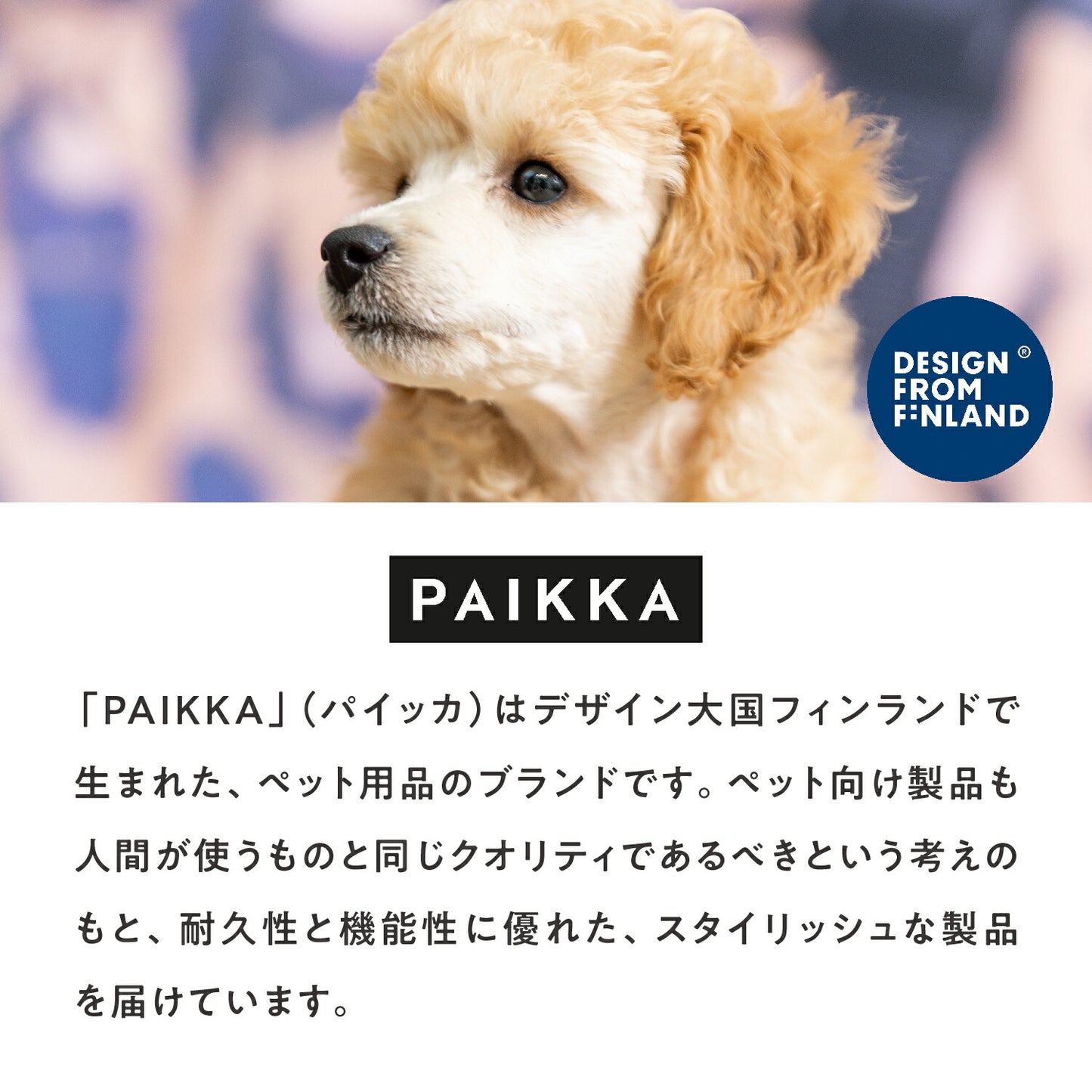 パイッカ 犬用シューズ