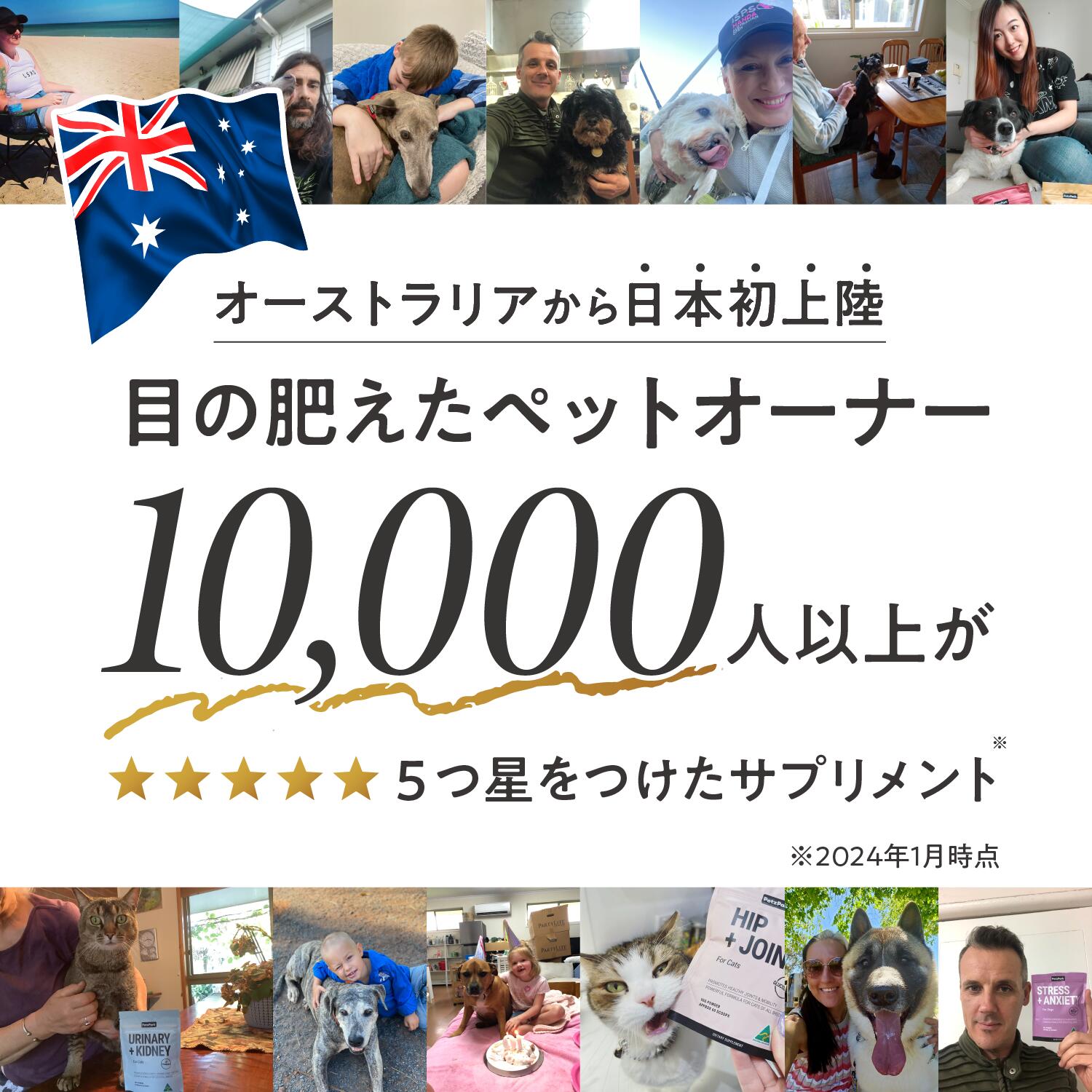 ペッツパーク 猫用 関節サポート