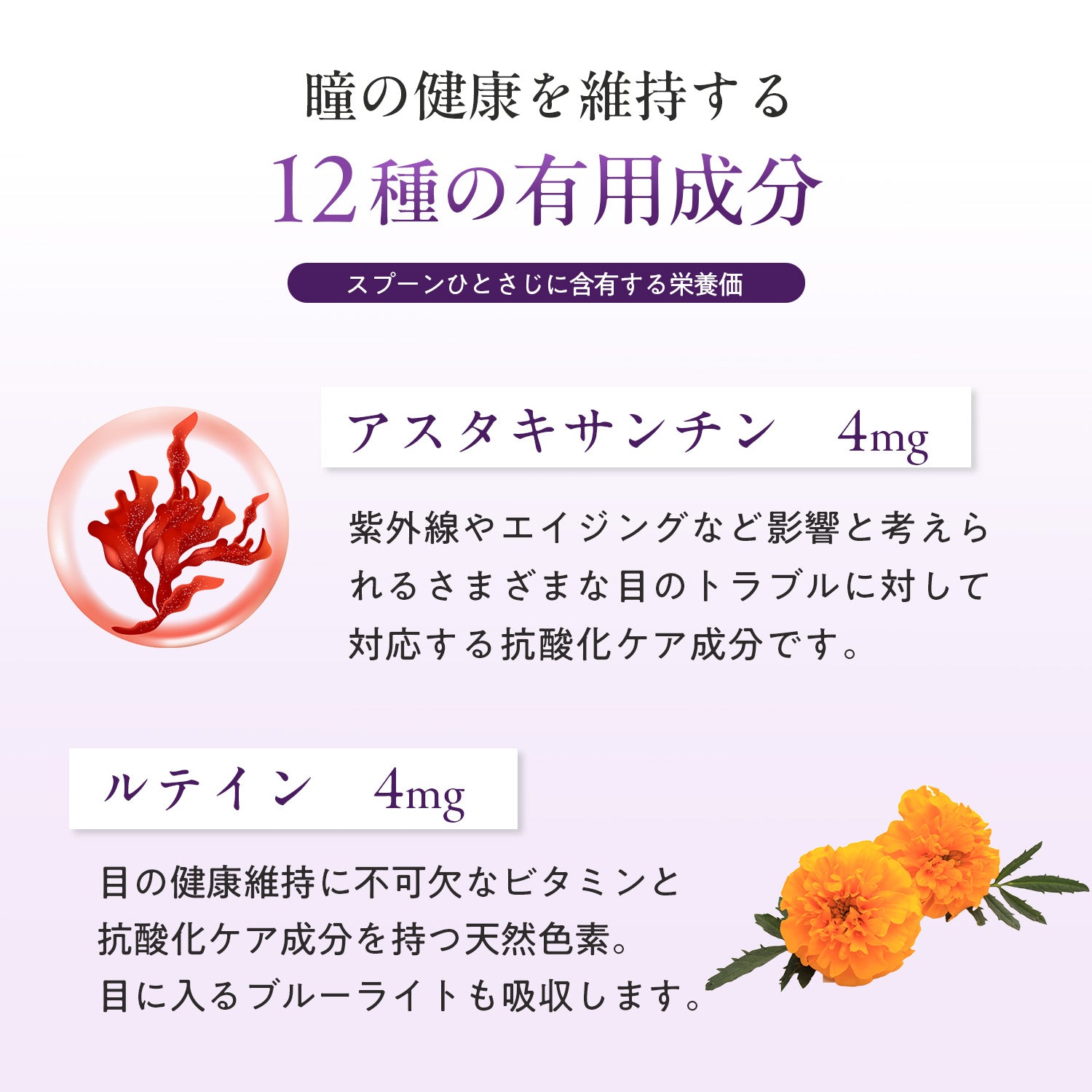 ペッツパーク 犬用 アイサポート