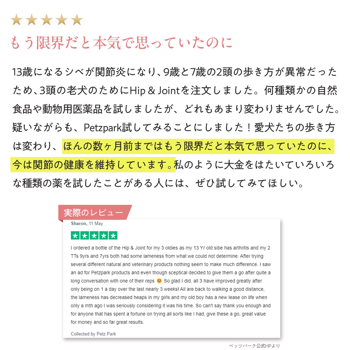 ペッツパーク 犬用 関節サポート
