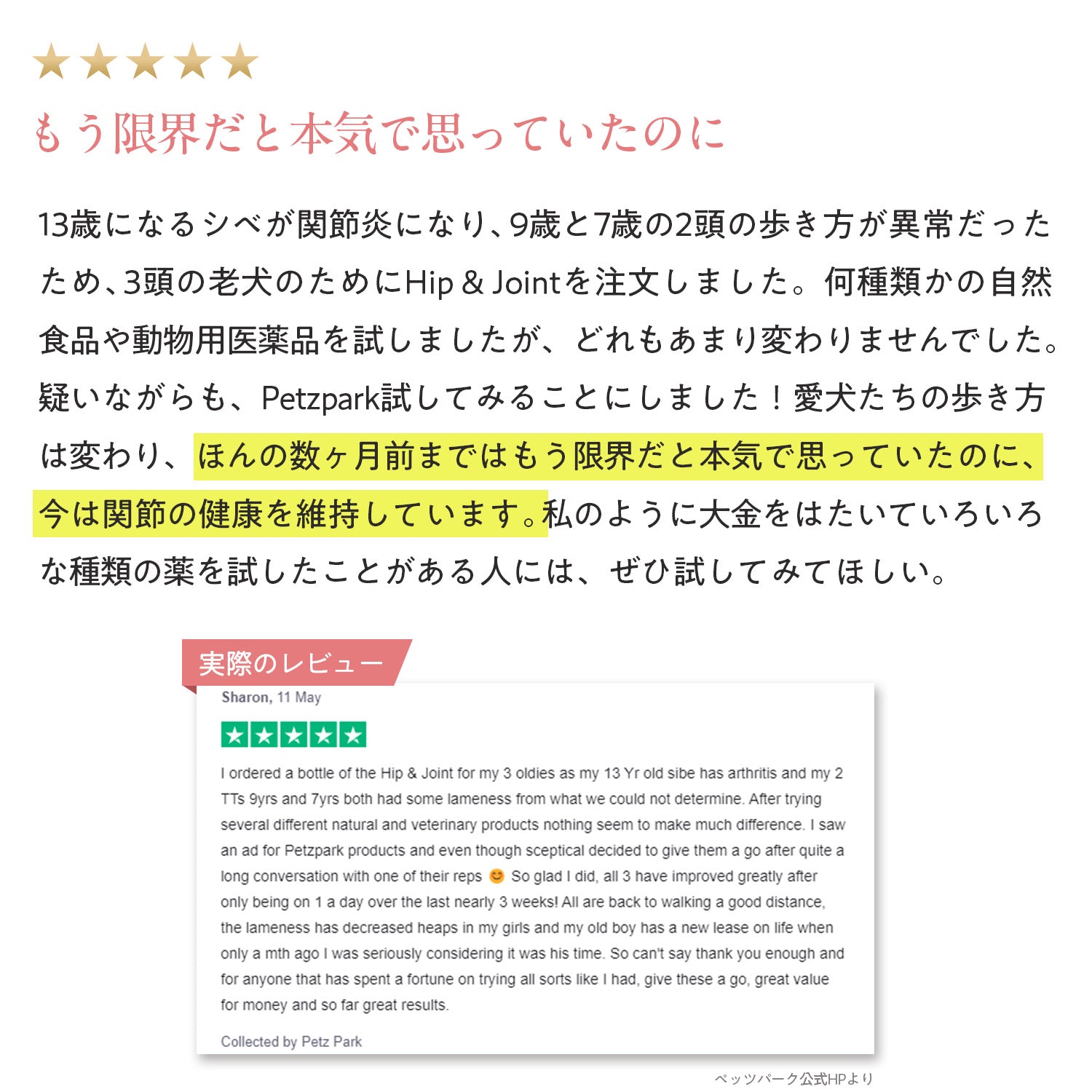 ペッツパーク 犬用 関節サポート