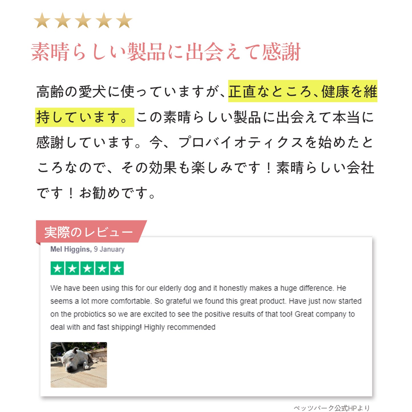 ペッツパーク 犬用 関節サポート