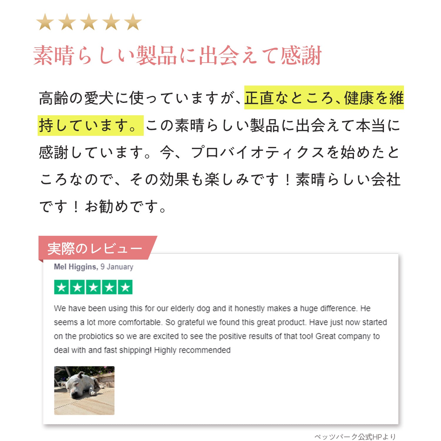ペッツパーク 犬用 関節サポート