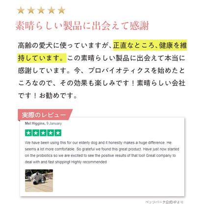 ペッツパーク 犬用 関節サポート