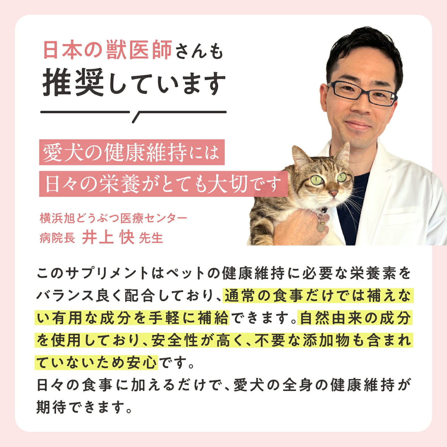 ペッツパーク 犬用 関節サポート
