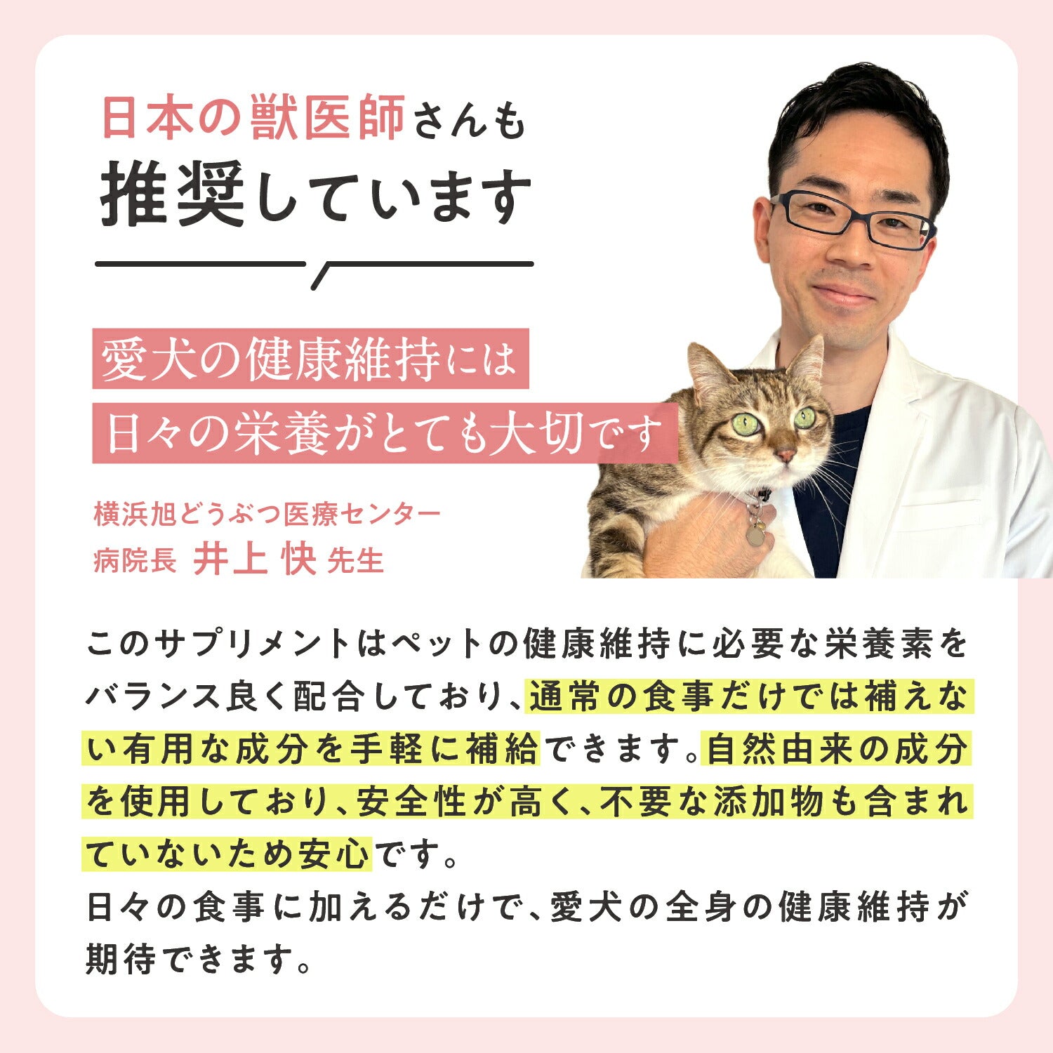 ペッツパーク 犬用 関節サポート