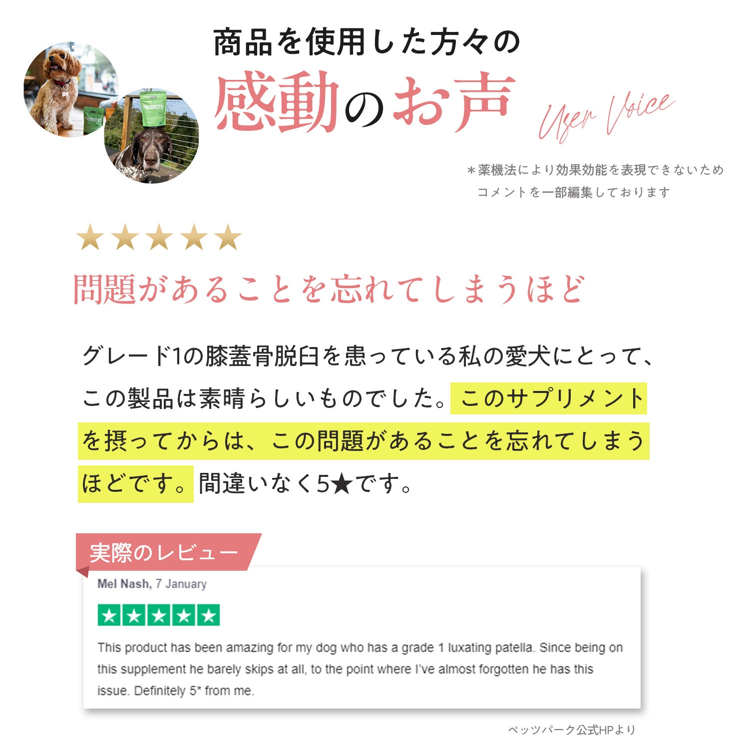 ペッツパーク 犬用 関節サポート