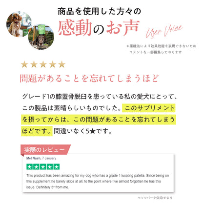 ペッツパーク 犬用 関節サポート