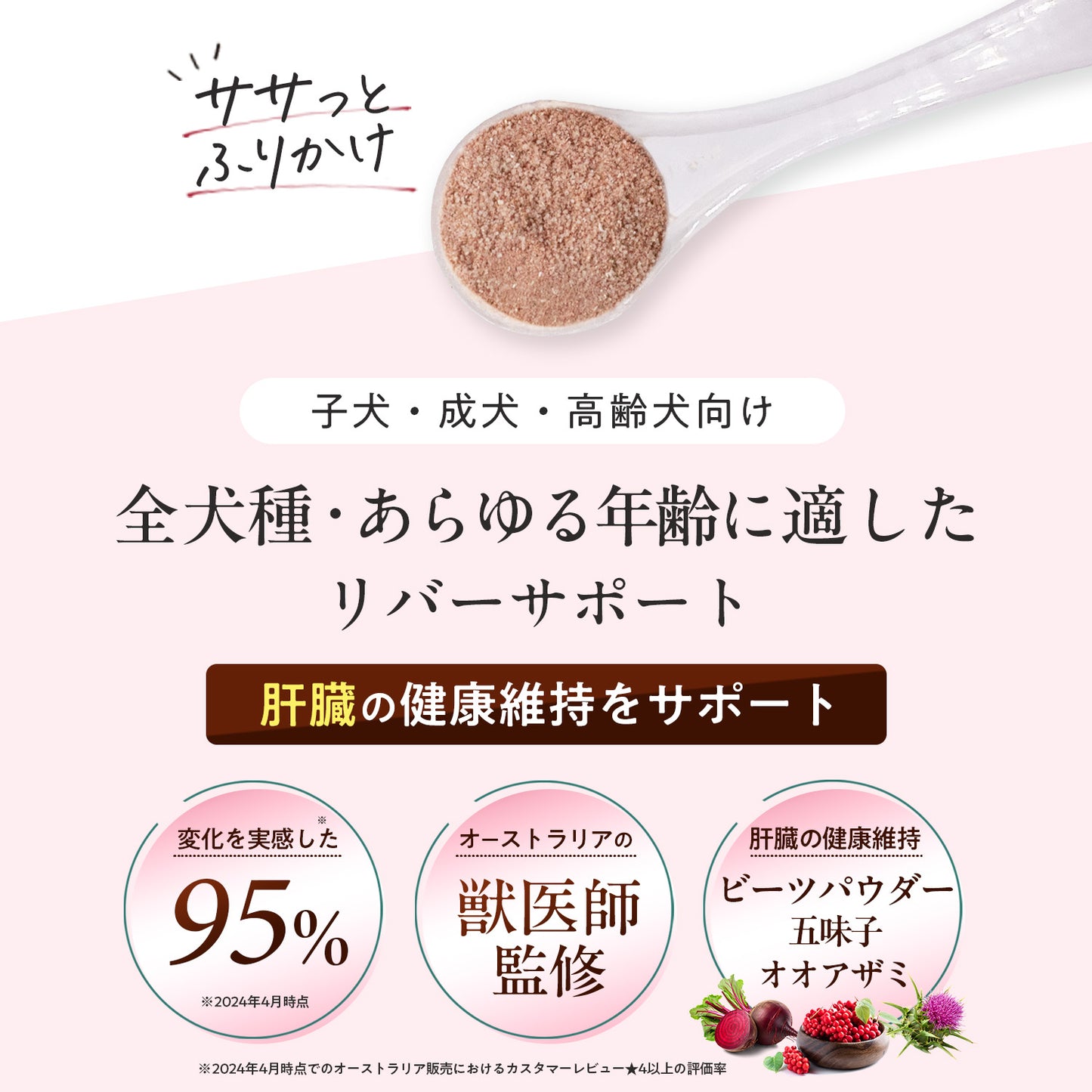 ペッツパーク 犬用 肝臓サポート