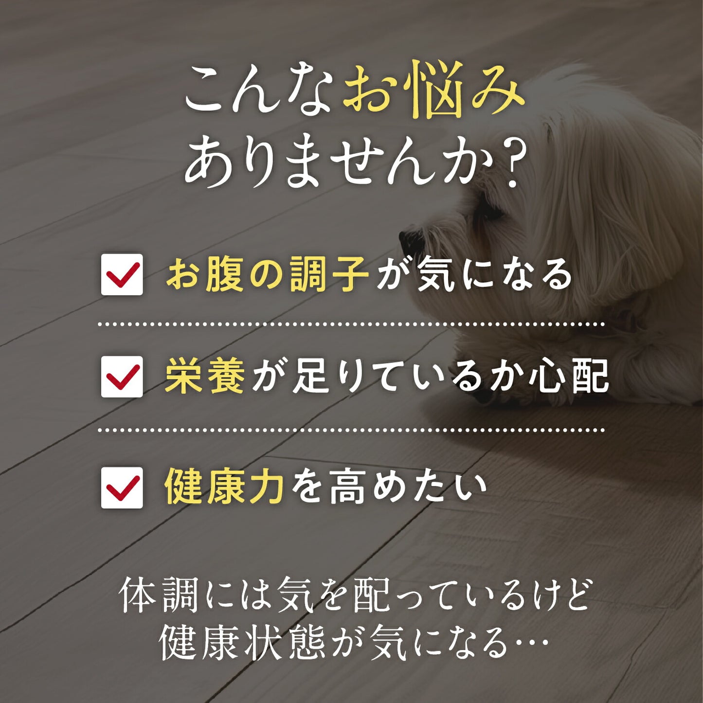 ペッツパーク 犬用 腸活サポート