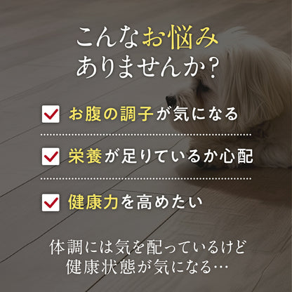 ペッツパーク 犬用 腸活サポート