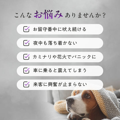 ペッツパーク 犬用 リラックスサポート