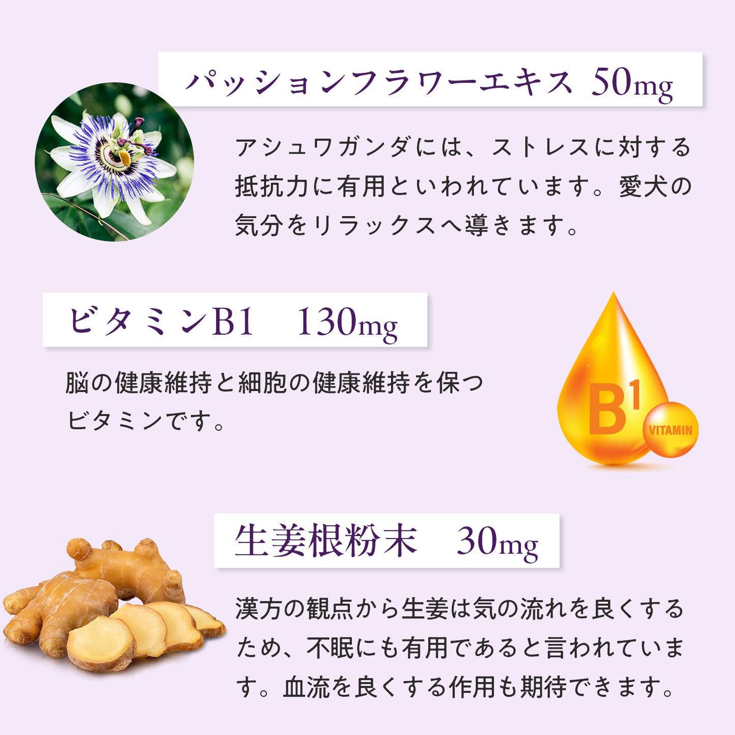 ペッツパーク 犬用 リラックスサポート